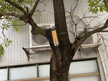 荔灣驗(yàn)收白蟻機(jī)構(gòu)城市園林中白蟻怎么防治